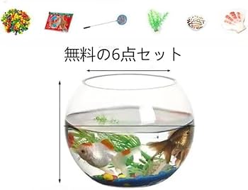 ガラス水槽 中型 透明 Amazon | ガラス水槽 透明水槽 リビング用ボール水槽 小型金魚